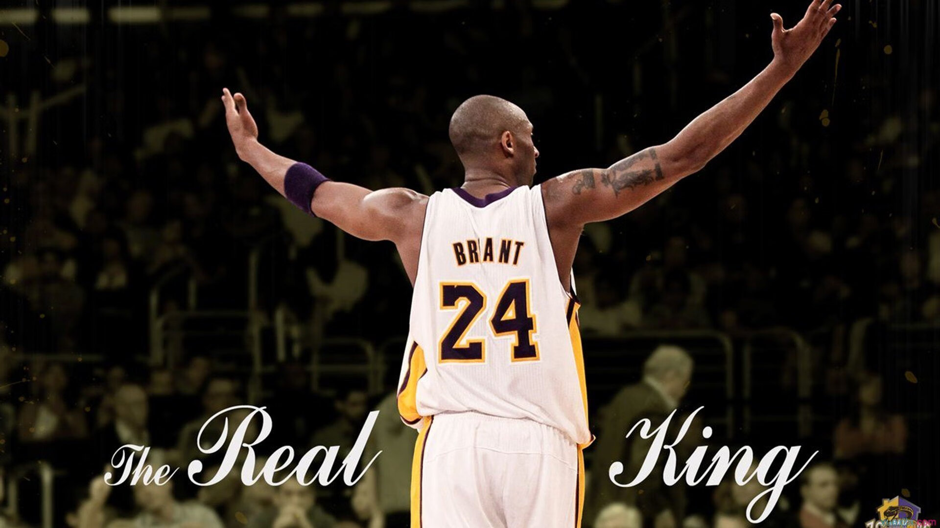 场馆的硬件差距:有的像NBA,有的像体校,场馆集体亮相 硬件获得好评